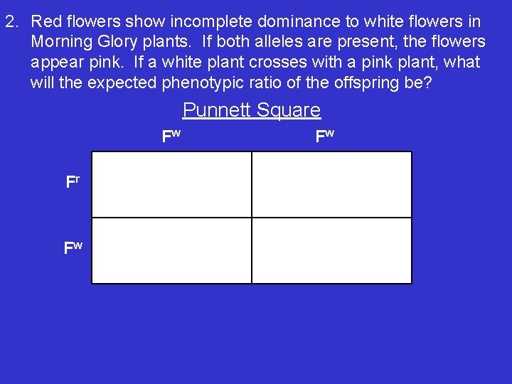 2. Red flowers show incomplete dominance to white flowers in Morning Glory plants. If