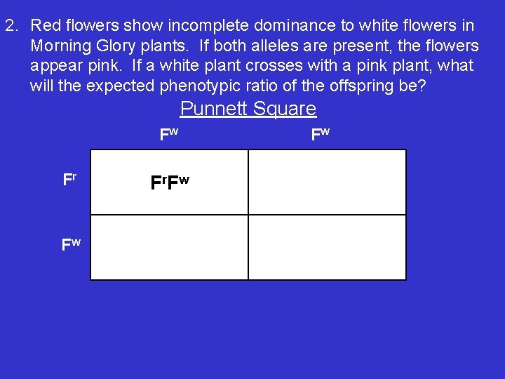 2. Red flowers show incomplete dominance to white flowers in Morning Glory plants. If