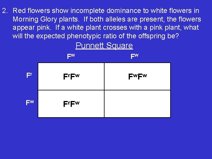 2. Red flowers show incomplete dominance to white flowers in Morning Glory plants. If