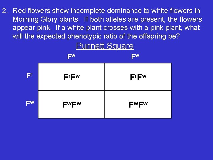 2. Red flowers show incomplete dominance to white flowers in Morning Glory plants. If