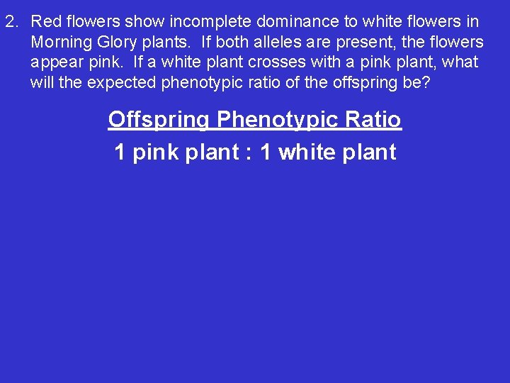 2. Red flowers show incomplete dominance to white flowers in Morning Glory plants. If