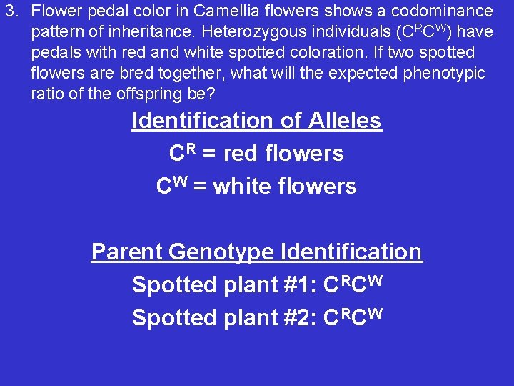 3. Flower pedal color in Camellia flowers shows a codominance pattern of inheritance. Heterozygous