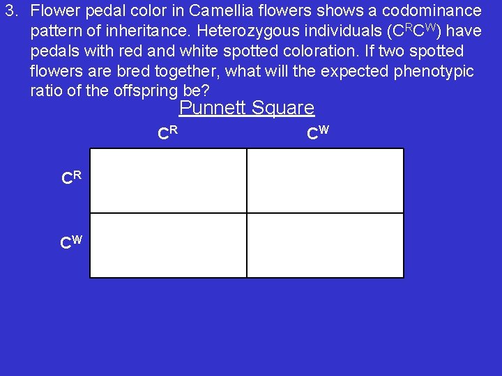 3. Flower pedal color in Camellia flowers shows a codominance pattern of inheritance. Heterozygous