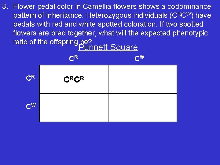 3. Flower pedal color in Camellia flowers shows a codominance pattern of inheritance. Heterozygous