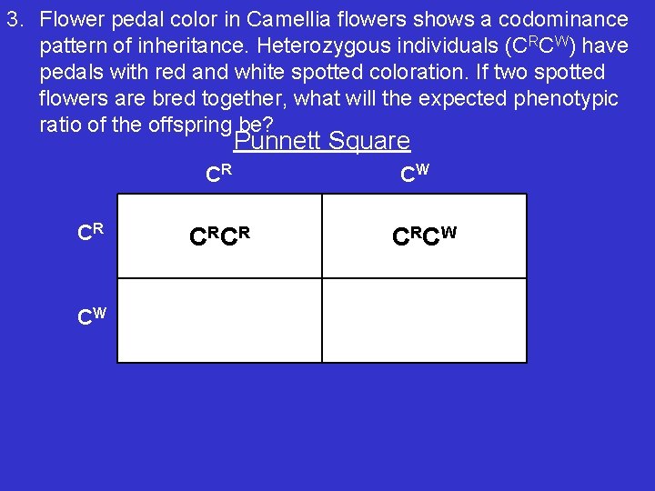 3. Flower pedal color in Camellia flowers shows a codominance pattern of inheritance. Heterozygous