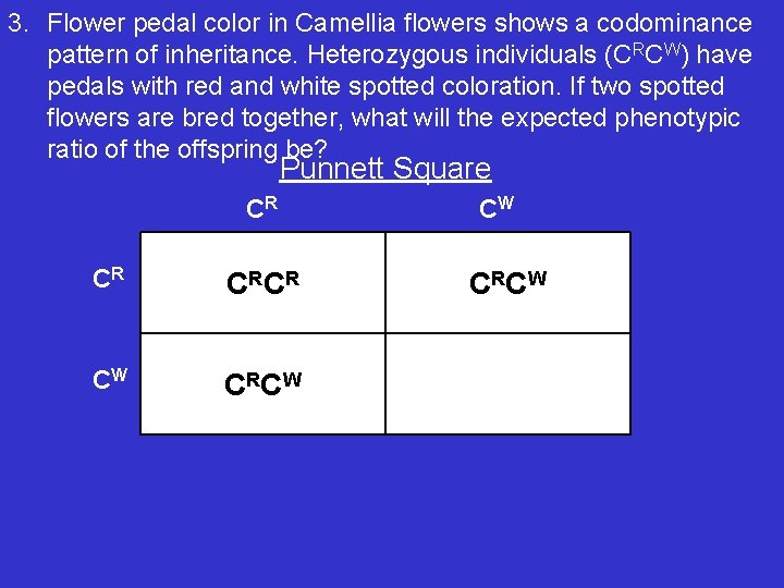 3. Flower pedal color in Camellia flowers shows a codominance pattern of inheritance. Heterozygous