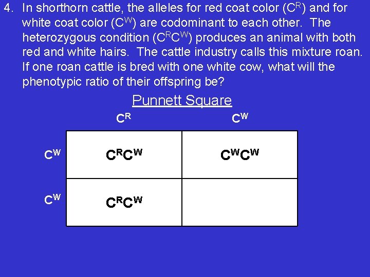 4. In shorthorn cattle, the alleles for red coat color (CR) and for white