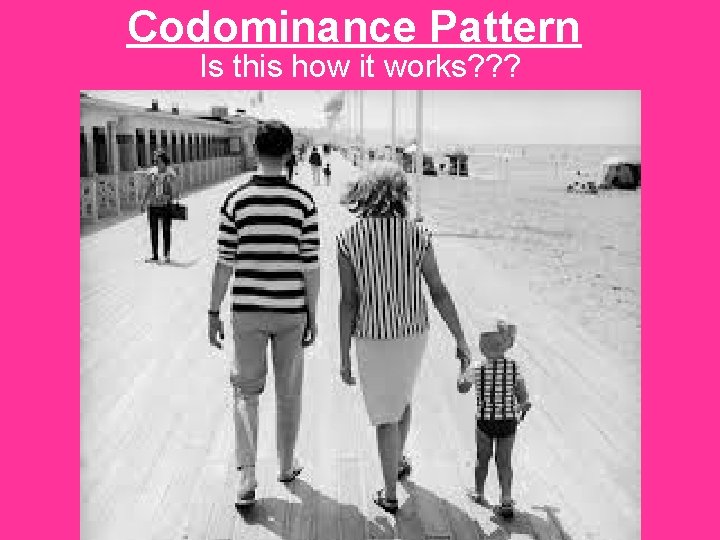 Codominance Pattern Is this how it works? ? ? 