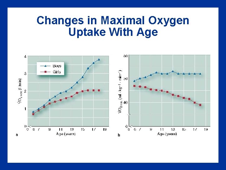 Changes in Maximal Oxygen Uptake With Age 