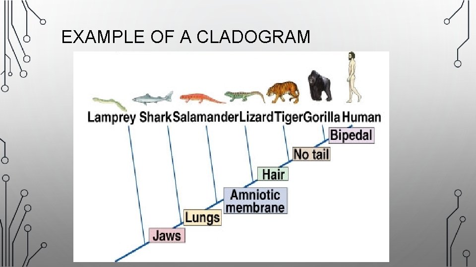 Classification EQ How have new discoveries helped us