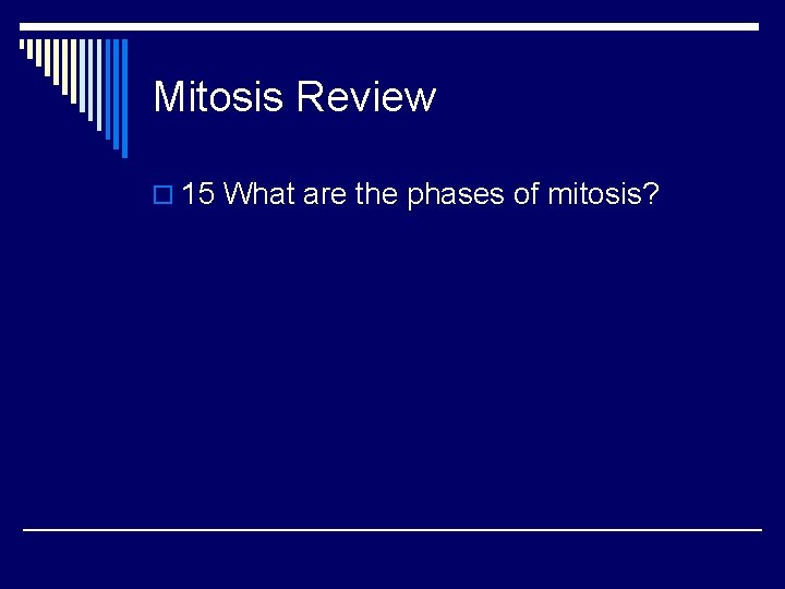 Mitosis Review o 15 What are the phases of mitosis? 