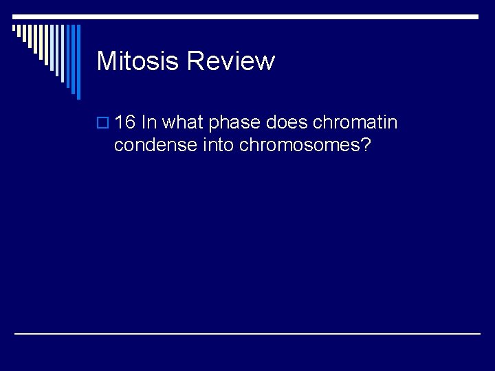 Mitosis Review o 16 In what phase does chromatin condense into chromosomes? 