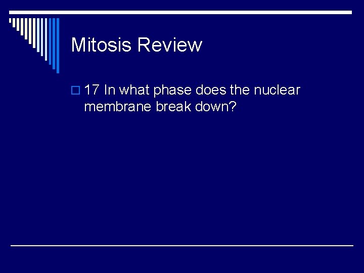 Mitosis Review o 17 In what phase does the nuclear membrane break down? 