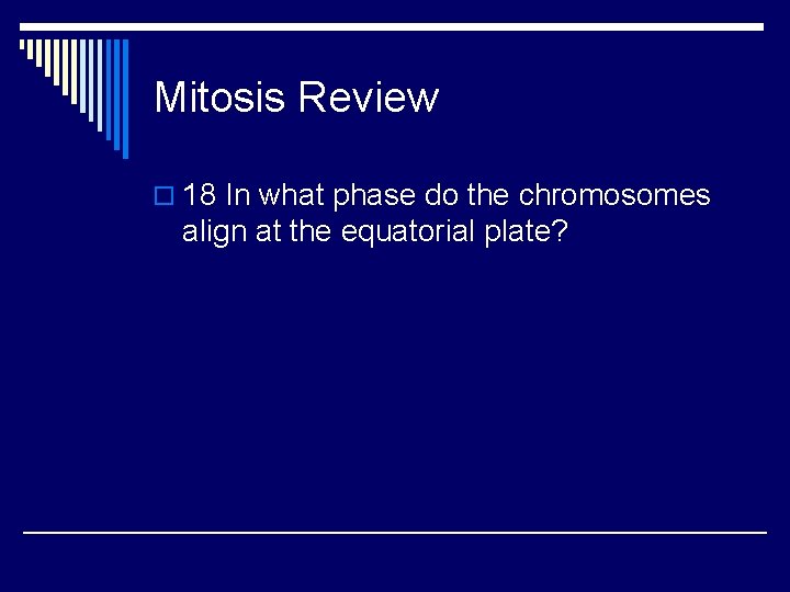 Mitosis Review o 18 In what phase do the chromosomes align at the equatorial