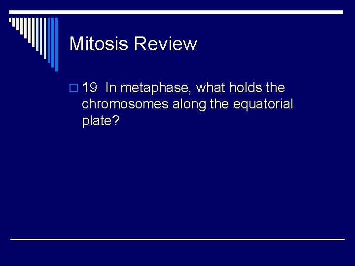 Mitosis Review o 19 In metaphase, what holds the chromosomes along the equatorial plate?