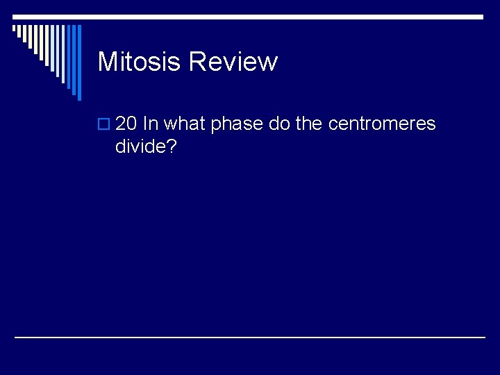 Mitosis Review o 20 In what phase do the centromeres divide? 