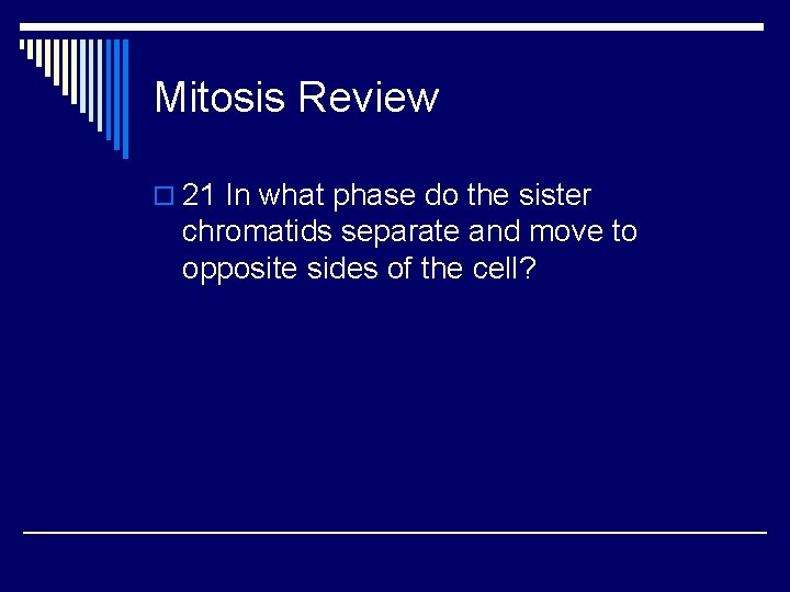 Mitosis Review o 21 In what phase do the sister chromatids separate and move