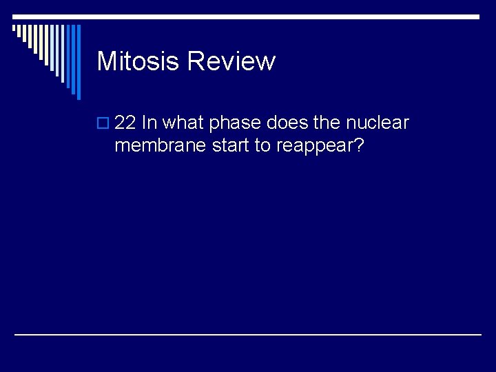 Mitosis Review o 22 In what phase does the nuclear membrane start to reappear?