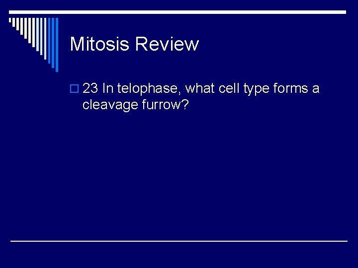 Mitosis Review o 23 In telophase, what cell type forms a cleavage furrow? 