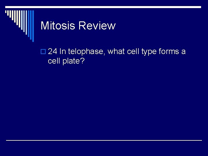 Mitosis Review o 24 In telophase, what cell type forms a cell plate? 