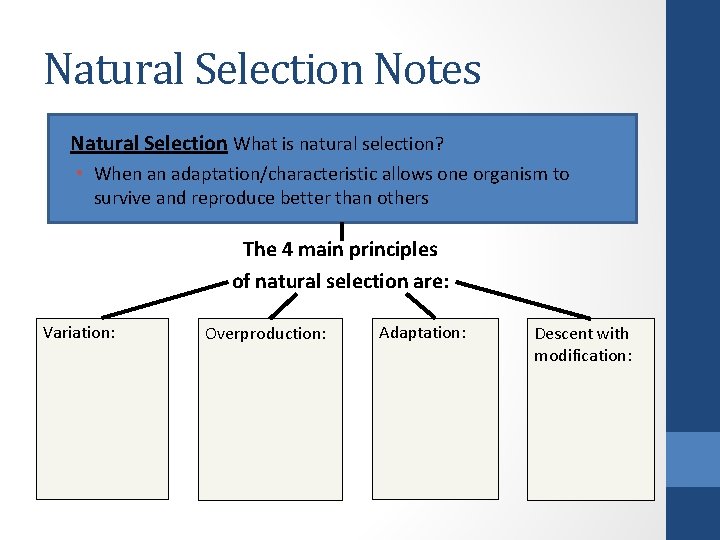 Natural Selection Notes • Natural Selection What is natural selection? • When an adaptation/characteristic