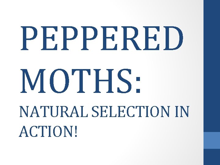 PEPPERED MOTHS: NATURAL SELECTION IN ACTION! 