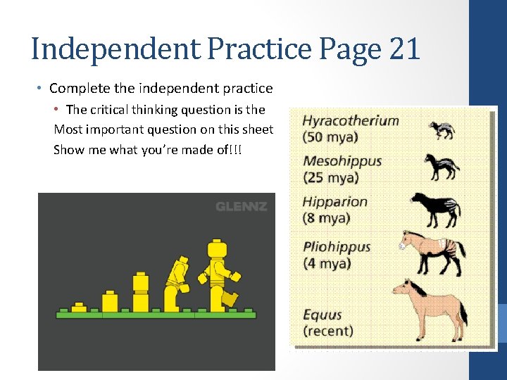 Independent Practice Page 21 • Complete the independent practice • The critical thinking question