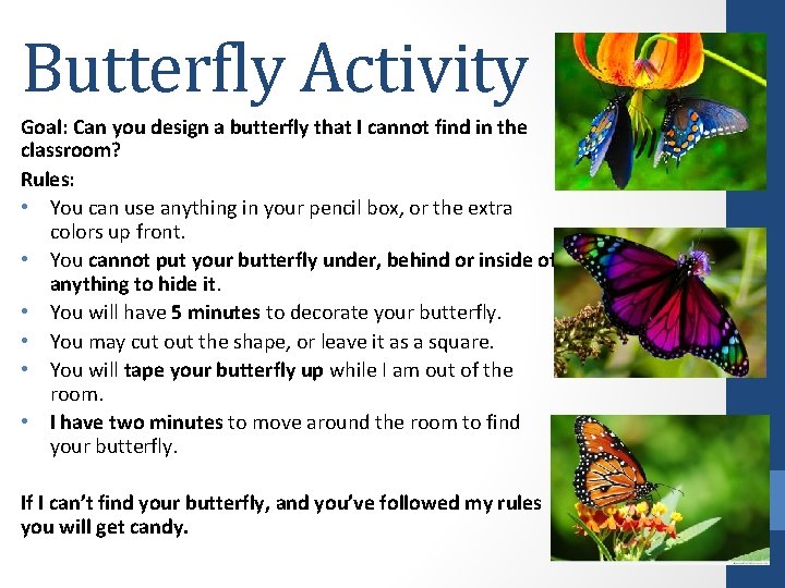 Butterfly Activity Goal: Can you design a butterfly that I cannot find in the