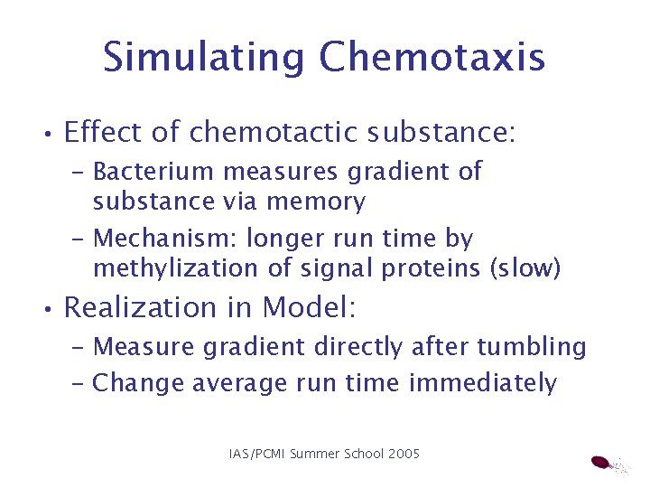 Movement of Flagellated Bacteria Graduate Student Group Project
