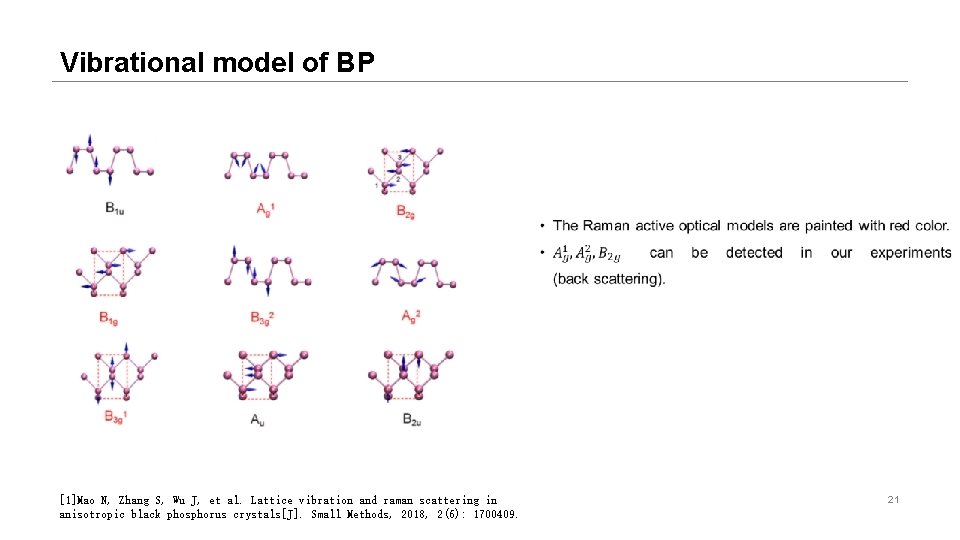 Vibrational model of BP [1]Mao N, Zhang S, Wu J, et al. Lattice vibration