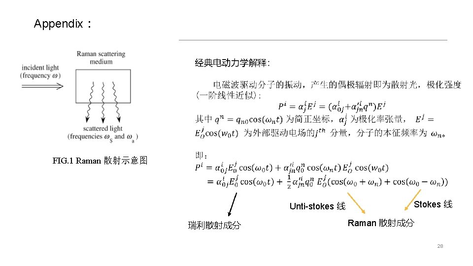 Appendix： FIG. 1 Raman 散射示意图 Unti-stokes 线 瑞利散射成分 Stokes 线 Raman 散射成分 28 