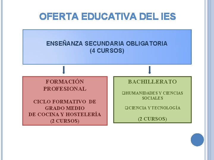 OFERTA EDUCATIVA DEL IES ENSEÑANZA SECUNDARIA OBLIGATORIA (4 CURSOS) FORMACIÓN PROFESIONAL CICLO FORMATIVO DE