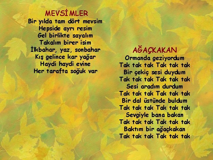 MEVSİMLER Bir yılda tam dört mevsim Hepside ayrı resim Gel birlikte sayalım Takalım birer