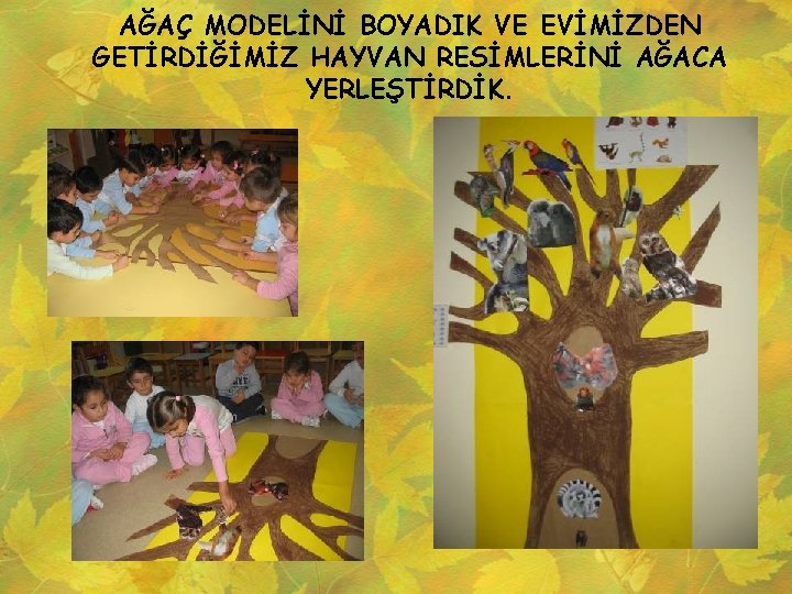 AĞAÇ MODELİNİ BOYADIK VE EVİMİZDEN GETİRDİĞİMİZ HAYVAN RESİMLERİNİ AĞACA YERLEŞTİRDİK. 