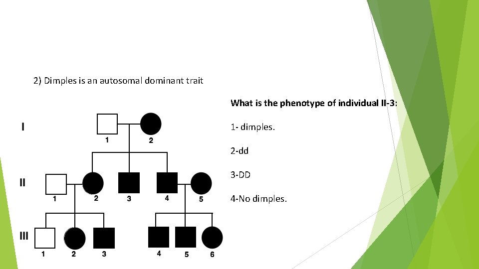 2) Dimples is an autosomal dominant trait What is the phenotype of individual II-3: