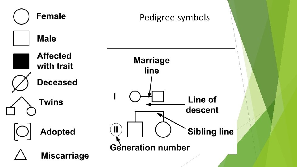 Pedigree symbols 