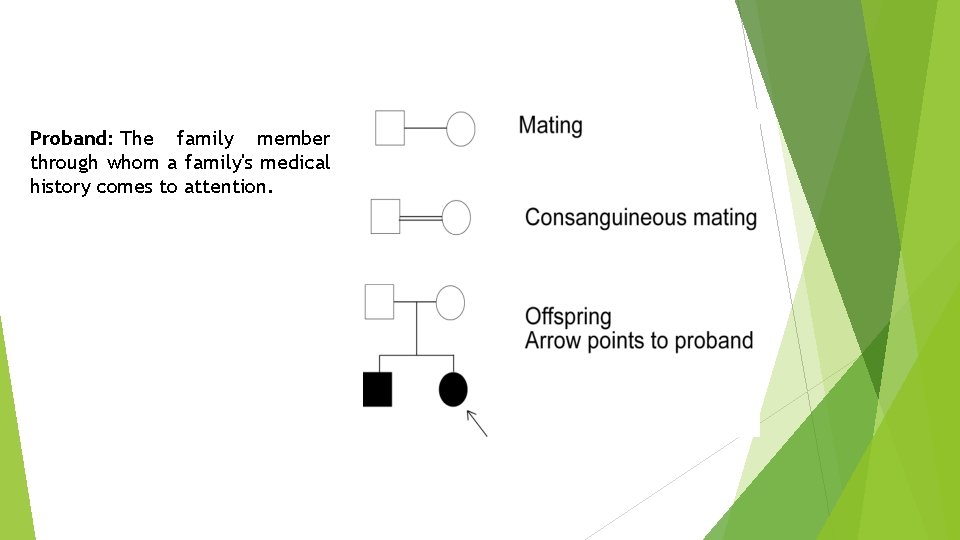 Proband: The family member through whom a family's medical history comes to attention. 
