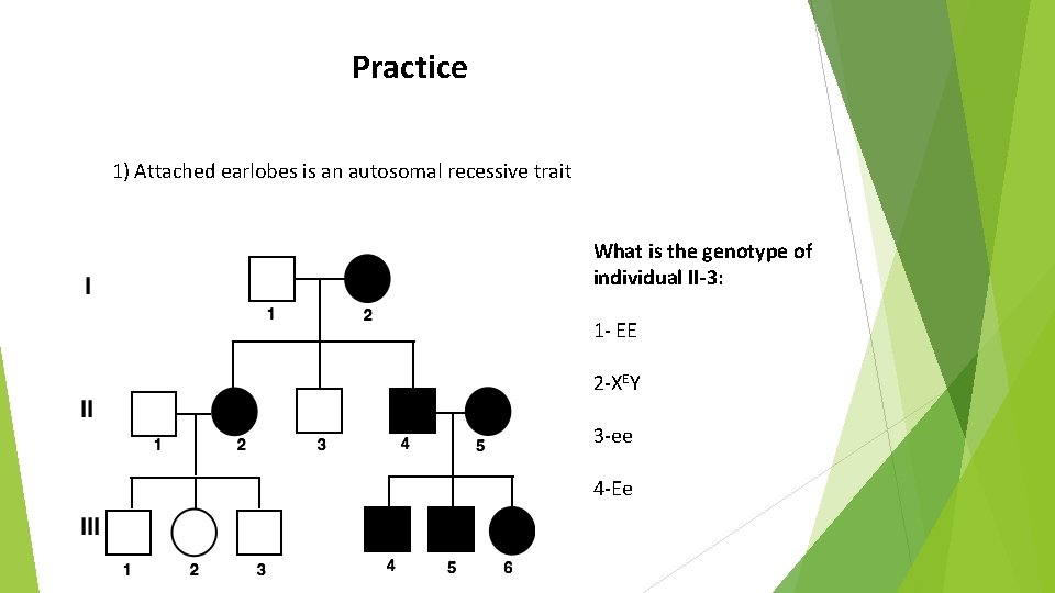 Practice 1) Attached earlobes is an autosomal recessive trait What is the genotype of