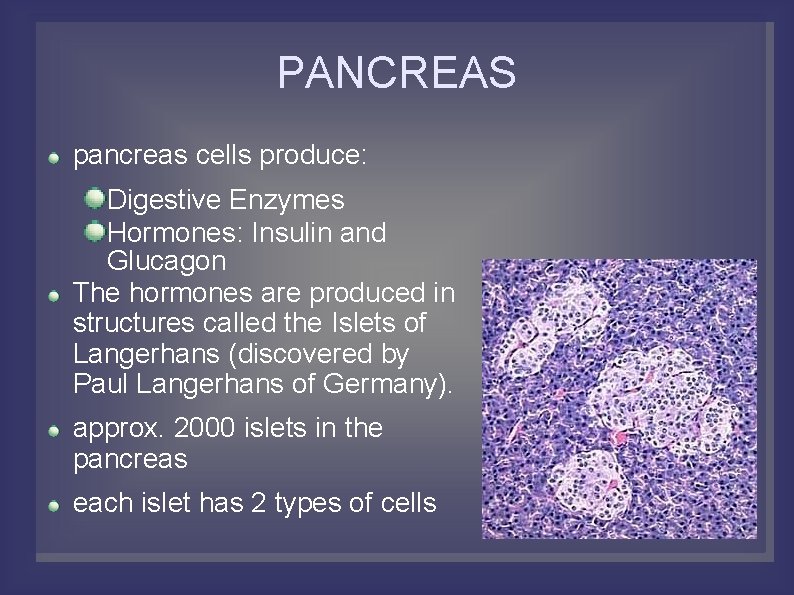 PANCREAS pancreas cells produce: Digestive Enzymes Hormones: Insulin and Glucagon The hormones are produced
