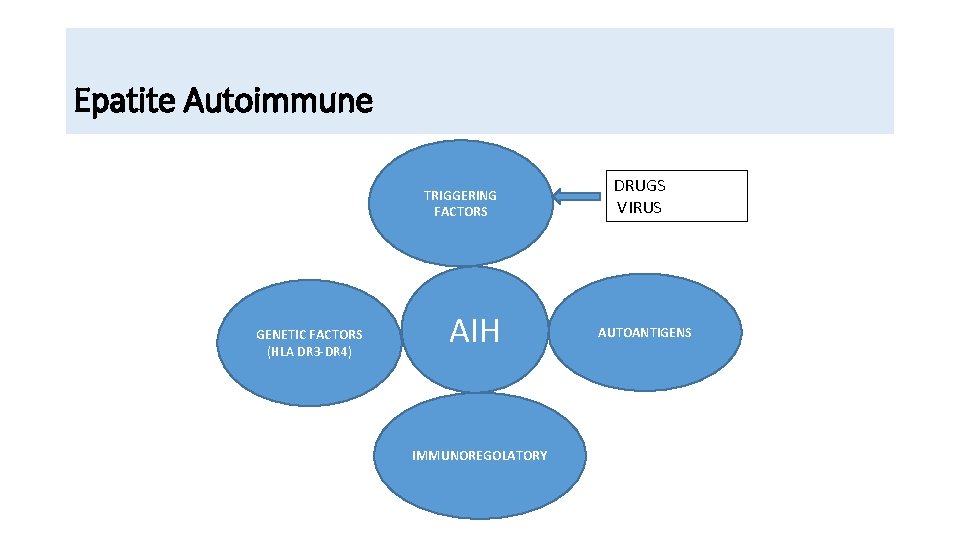 Epatite Autoimmune TRIGGERING FACTORS GENETIC FACTORS (HLA DR 3 -DR 4) AIH IMMUNOREGOLATORY DRUGS