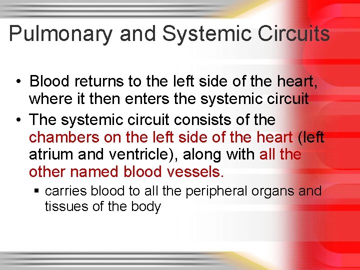 Pulmonary and Systemic Circuits • Blood returns to the left side of the heart,
