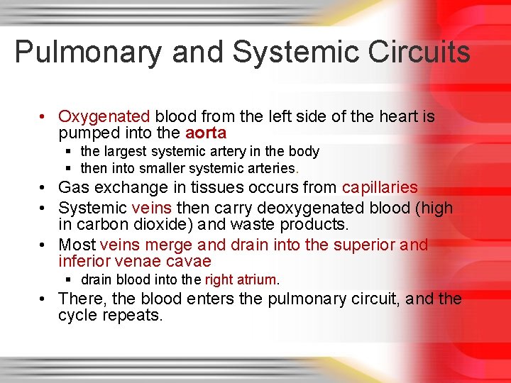 Pulmonary and Systemic Circuits • Oxygenated blood from the left side of the heart