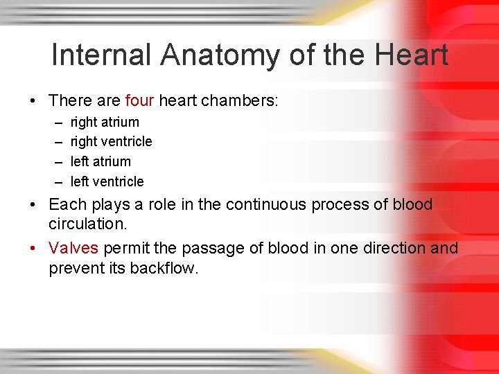 Internal Anatomy of the Heart • There are four heart chambers: – – right