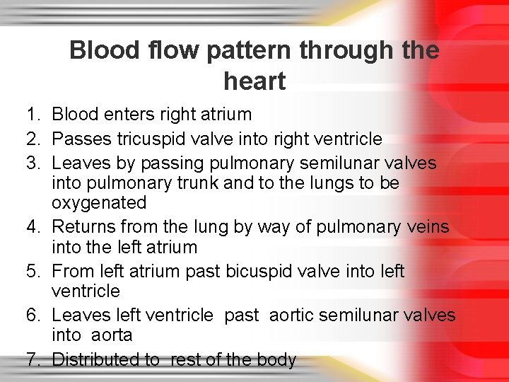 Blood flow pattern through the heart 1. Blood enters right atrium 2. Passes tricuspid