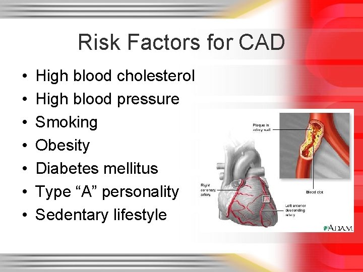 Risk Factors for CAD • • High blood cholesterol High blood pressure Smoking Obesity