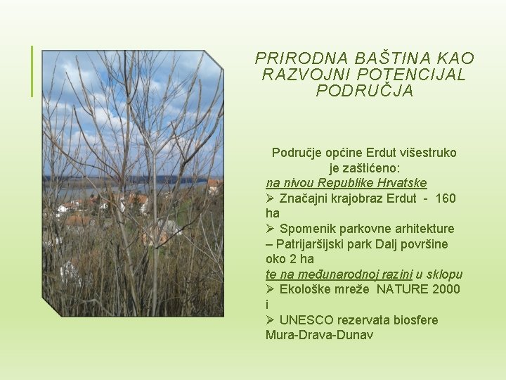 PRIRODNA BAŠTINA KAO RAZVOJNI POTENCIJAL PODRUČJA Područje općine Erdut višestruko je zaštićeno: na nivou