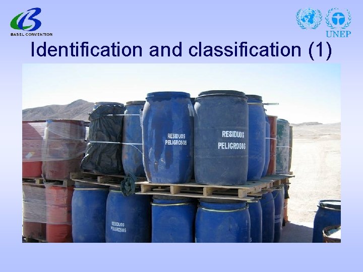 Identification and classification (1) 