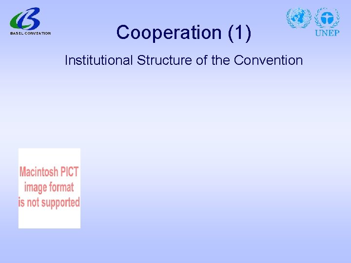 Cooperation (1) Institutional Structure of the Convention 