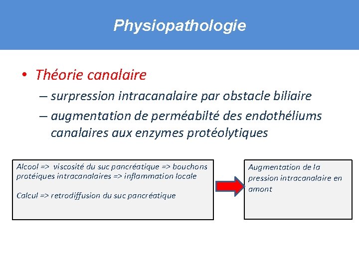 Physiopathologie • Théorie canalaire – surpression intracanalaire par obstacle biliaire – augmentation de perméabilté