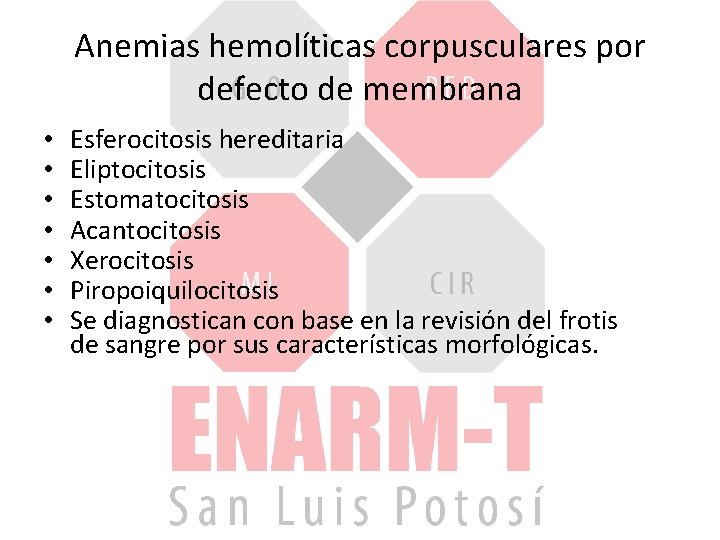 Anemias hemolíticas corpusculares por defecto de membrana • • Esferocitosis hereditaria Eliptocitosis Estomatocitosis Acantocitosis